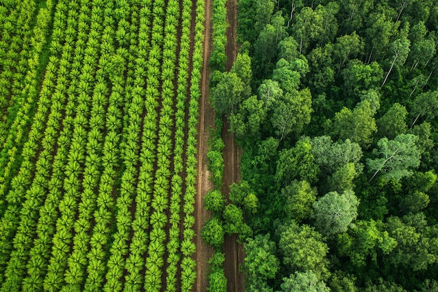 Land Management